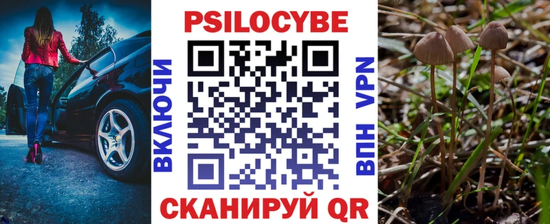 Купить где  Городец  Галлюциногенные грибы прущие грибы 