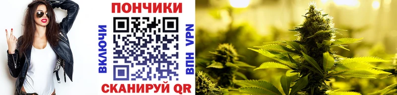 Канабис сатива  Купить закладки  Городец 